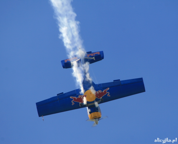 flying bulls